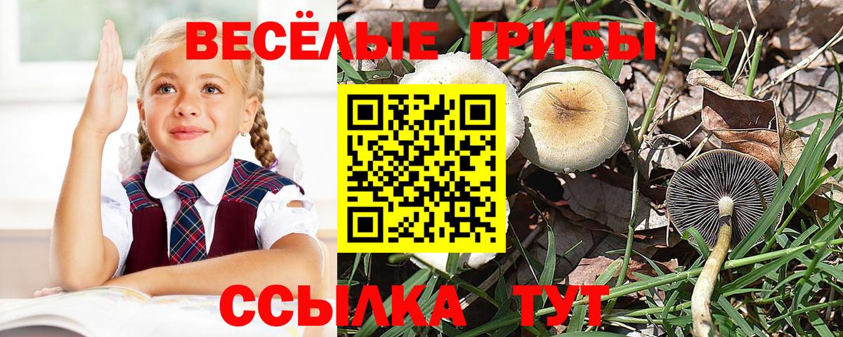 Нерюнгри  Псилоцибиновые грибы мухоморы  Вход с VPN 