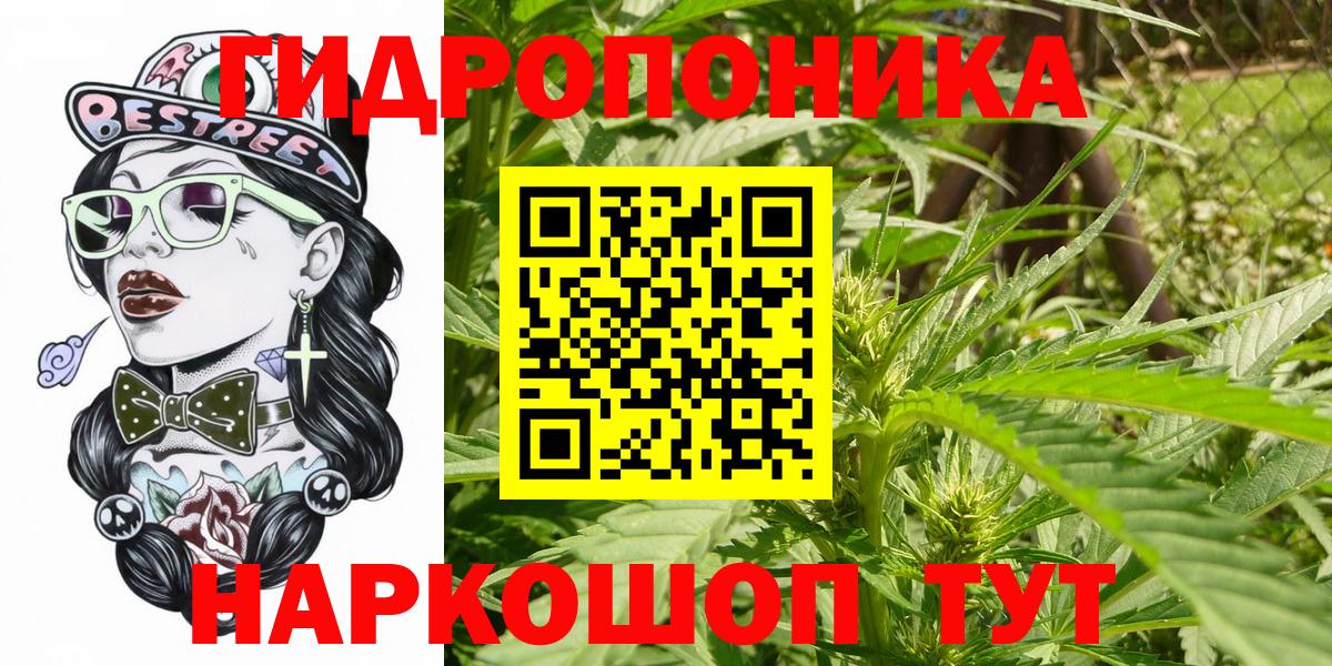 Бошки марихуана марихуана Нерюнгри